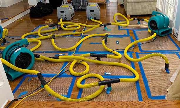 Professional Sewage Cleanup technician working in Derwood, MD